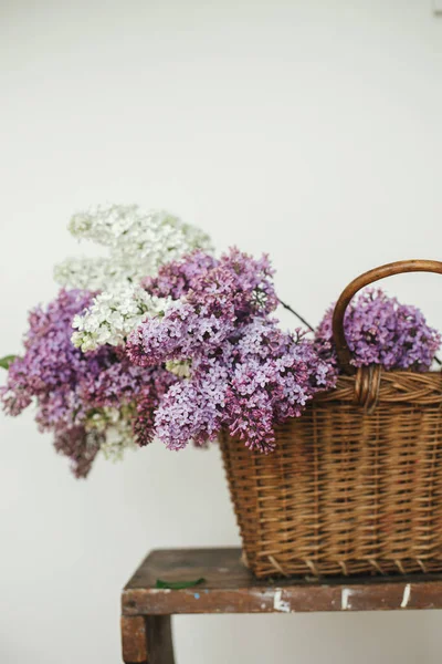 Beautiful Lilac Flowers Wicker Basket Wooden Chair Spring Rustic Still — Stock Photo, Image