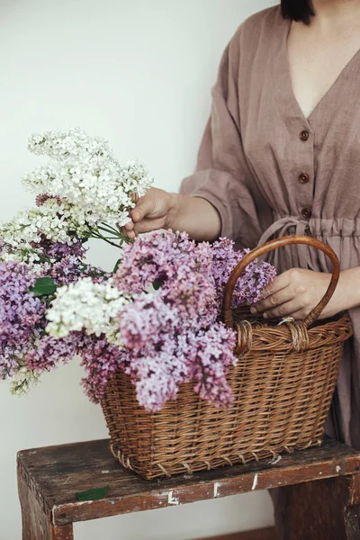Tarz sahibi kadın elleri kırsal odada sepetin içinde güzel leylak çiçekleri tutuyor. Keten elbiseli, leylak çiçekleri düzenleyen, kırpılmış manzaralı bir kadın. Otantik karamsar an. Kırsal düğün
