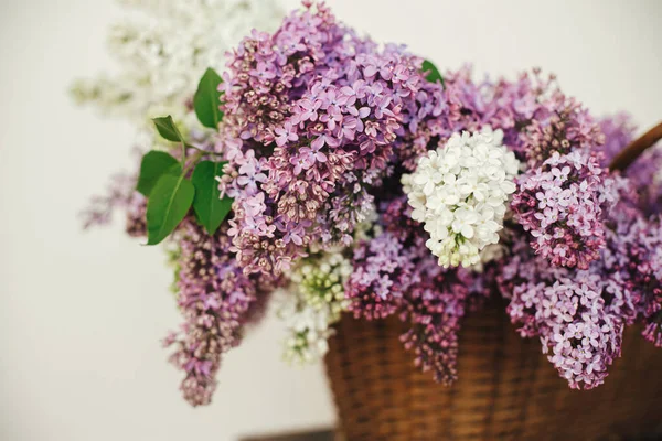 Beautiful Lilac Flowers Wicker Basket Wooden Chair Purple White Lilacs —  Fotos de Stock