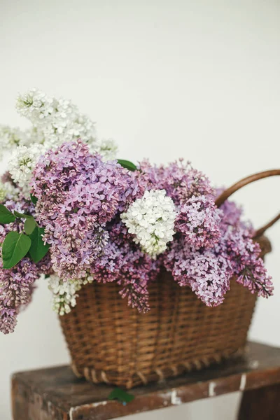 Beautiful Lilac Flowers Wicker Basket Wooden Chair Purple White Lilacs — Stock Photo, Image