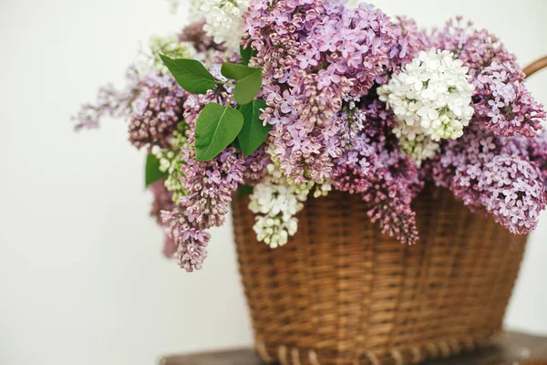 Beautiful Lilac Flowers Wicker Basket Wooden Chair Spring Rustic Still —  Fotos de Stock