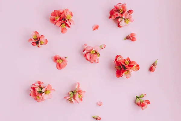 Stijlvolle Rode Bloemen Compositie Roze Achtergrond Plat Lag Vrouwendag Moederdag — Stockfoto