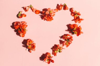 Pembe arka planda çiçekli şık bir kalp. Anneler ve Kadınlar Gününüz kutlu olsun. - Valentine. Kalp şeklindeki kırmızı ayva çiçeği kompozisyonu. Çiçekli tebrik kartı şablonu