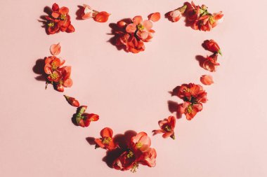 Pembe arka plan düzlüğünde kalp şeklinde şık kırmızı çiçek kompozisyonu. Anneler ve Kadınlar Gününüz kutlu olsun. Bahar ayva çiçekleri düzeni. Çiçekli tebrik kartı şablonu.