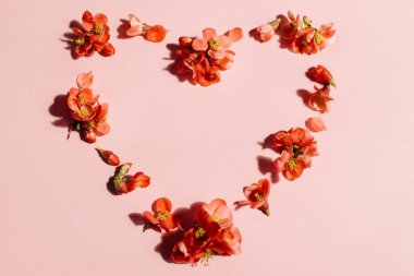 Pembe arka planda çiçekli şık bir kalp. Anneler ve Kadınlar Gününüz kutlu olsun. - Valentine. Kalp şeklindeki kırmızı ayva çiçeği kompozisyonu. Çiçekli tebrik kartı şablonu