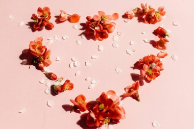 Pembe arka planda çiçekli şık bir kalp. Anneler ve Kadınlar Gününüz kutlu olsun. - Valentine. Kalp şeklindeki kırmızı ayva çiçeği kompozisyonu. Çiçekli tebrik kartı şablonu