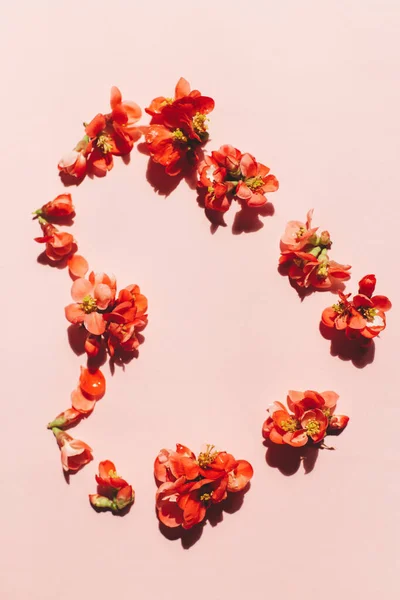Elegante Composición Flores Rojas Forma Corazón Sobre Fondo Rosa Plano — Foto de Stock