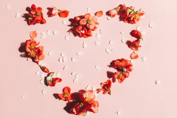 Pembe arka plan düzlüğünde kalp şeklinde şık kırmızı çiçek kompozisyonu. Anneler ve Kadınlar Gününüz kutlu olsun. Bahar ayva çiçekleri düzeni. Çiçekli tebrik kartı şablonu.