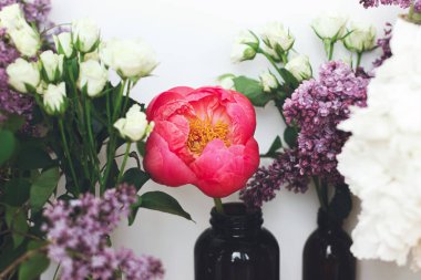 Güzel şakayık, leylak, güller, ortanca çiçekleri ve beyaz arka planda cam şişe düzeninde okaliptüs. Merhaba bahar. Modern çiçek kompozisyonu. Anneler günün kutlu olsun ya da sevgililer günün kutlu olsun