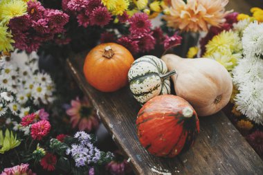 Mutlu Şükran Günleri Kırsal ahşap arka planda güzel sonbahar çiçekleri arasında şık balkabakları. Merhaba sonbahar. Renkli asterler ve yıldız çiçekleri arasında turuncu ve sarı kabaklar. Huysuz resim