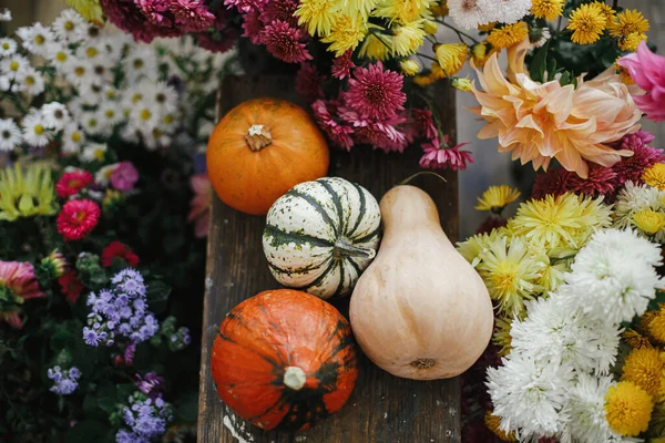 Stilvolle Kürbisse Inmitten Schöner Herbstblumen Auf Rustikalem Holzgrund Hallo Herbst — Stockfoto