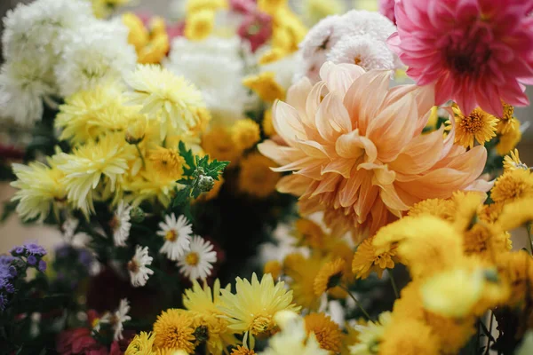 Bouquets Outono Elegantes Com Astros Amarelos Rosa Dálias Olá Outono — Fotografia de Stock