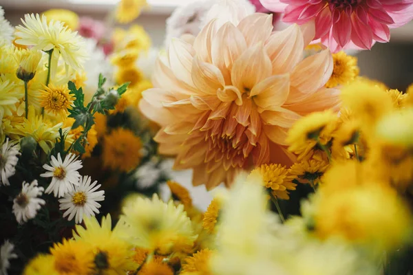 黄色とピンクのキャスターとダリアとスタイリッシュな秋の花束 花の壁紙 素朴な部屋で美しい秋の花を閉じます 感謝祭おめでとう ムーディーのイメージ — ストック写真