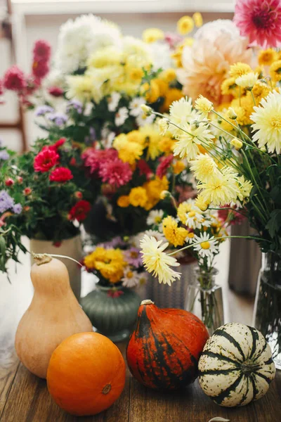 Stylish Pumpkins Beautiful Autumn Flowers Rustic Wooden Background Hello Fall — Stockfoto