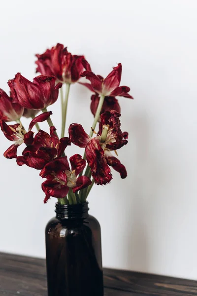 Tulip Pudar Bunga Merah Layu Karangan Bunga Dalam Botol Kaca — Stok Foto