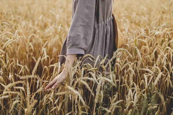 女性の手のフィールドで クロップドビューの小麦茎を保持 落ち着いた雰囲気の瞬間 田舎の夏に熟した小麦の耳に触れる素朴なリネンのドレスの女性 農村部のスローライフ 穀物収穫 — ストック写真