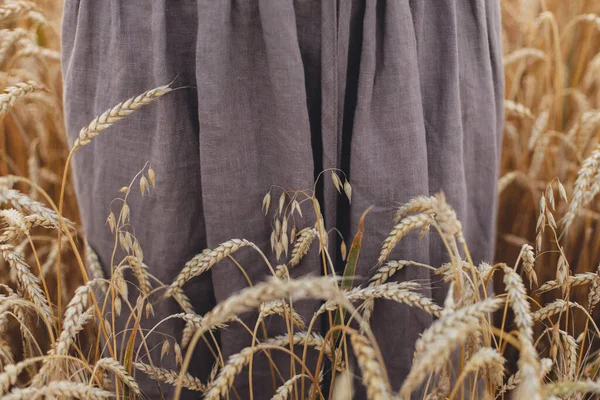 Buğday Tarladaki Keten Kadın Elbisesinin Arka Planında Kırpık Manzarada Tahıl — Stok fotoğraf