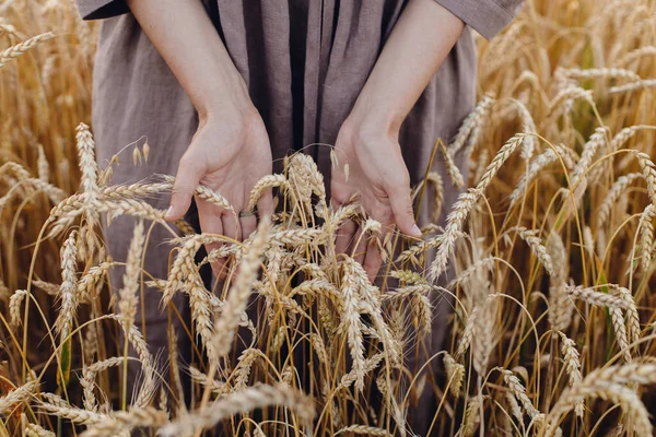 Tahıl Hasadı Tarlada Buğday Sapı Tutan Kadın Kırpılmış Manzara Kırsal — Stok fotoğraf