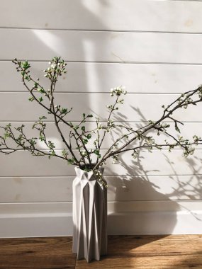 Şık vazoda açan kiraz dalı İskandinav odasında güneşli ahşap arka planda. Ev dekorasyonu ve bahar detayları. Dikey telefon fotoğrafı