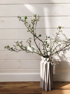 Şık vazoda açan kiraz dalı İskandinav odasında güneşli ahşap arka planda. Ev dekorasyonu ve bahar detayları. Dikey telefon fotoğrafı