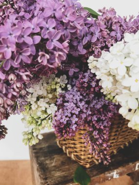 Kırsal sepetteki güzel beyaz ve mor leylak çiçekleri. Bahar detayları. Kırsal odada çiçek açan leylak dalları. Dikey telefon fotoğrafı