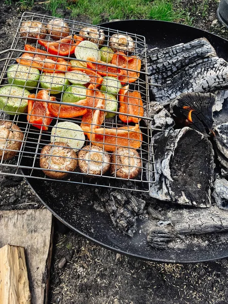 Pique Nique Été Griller Les Légumes Sur Bol Feu Dans — Photo