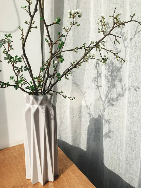 Blühender Kirschzweig Der Vase Sonnenlicht Gegen Leinenvorhänge Home Dekor Und — Stockfoto