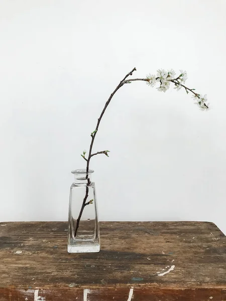 Bloeiende Kersentak Glazen Vaas Rustiek Hout Stijlvolle Kamer Huis Minimale — Stockfoto