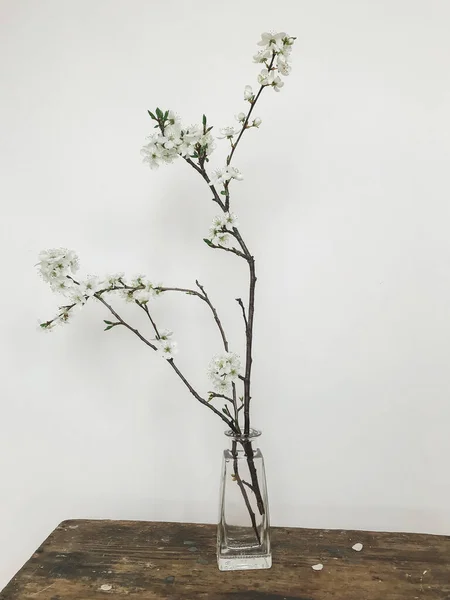 Blühender Kirschzweig Glasvase Auf Rustikalem Holz Stilvollem Raum Startseite Minimale — Stockfoto
