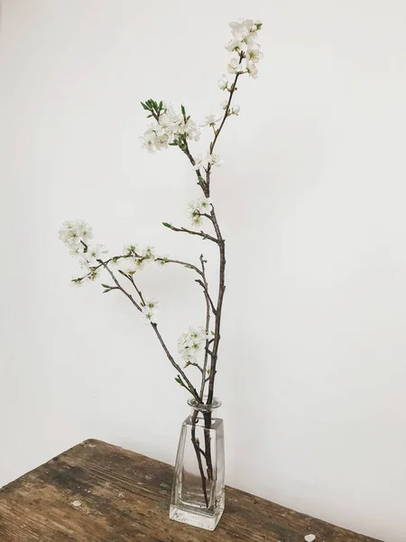 Branche Cerisier Fleurie Dans Vase Verre Sur Bois Rustique Dans — Photo