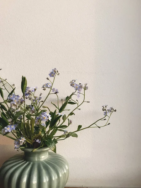 Schöne Blaue Frühlingsblumen Der Vase Auf Der Fensterbank Abendsonnenlicht Gegen — Stockfoto
