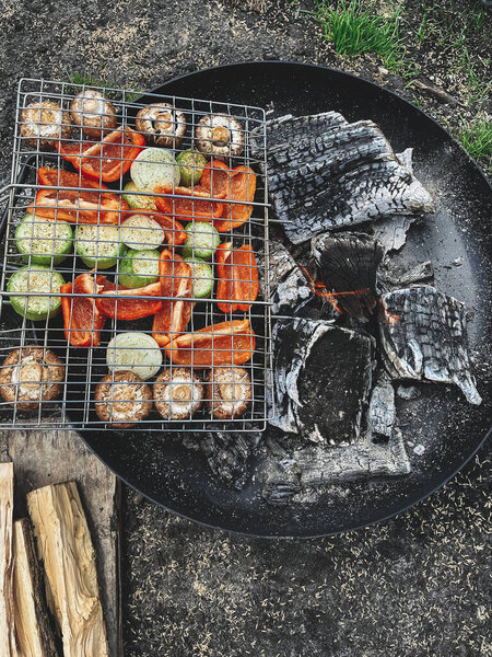 Summer Picnic Grilling Vegetables Fire Bowl Park Garden Top View Royalty Free Stock Images