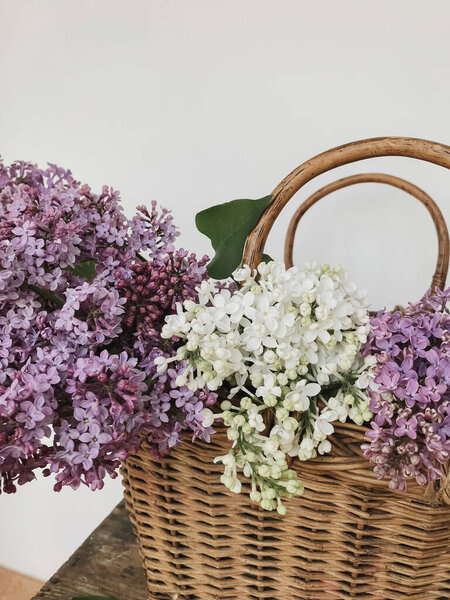 Beautiful White Purple Lilac Flowers Rustic Basket Spring Details Blooming Stock Image