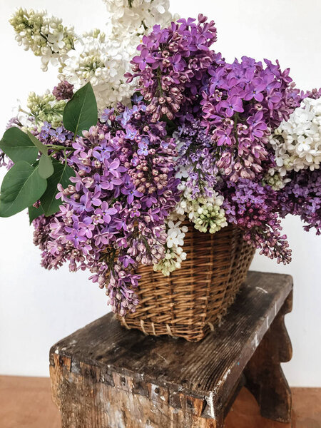 Beautiful White Purple Lilac Flowers Rustic Basket Spring Details Blooming Stock Picture