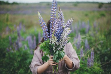 Lupine buketi kadınların elinde, yaz çayırında kapanıyor. Cottagecore estetiği. Keten elbiseli genç bir kadın atmosferik kırsal kesimde kır çiçeklerini tutuyor.