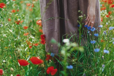 Güneşli tarlada çiçek toplayan bir kadın eli. Cottagecore estetiği. Kırsal kesimde kır çiçekleri taşıyan genç bir kadın yaz kırsalında, sakin bir hayat sürüyor.
