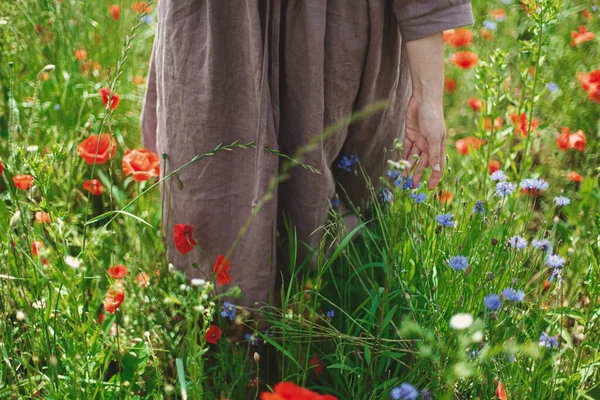 Cottagecore Estetiği Kırsal Elbiseli Bir Kadının Güneşli Tarlada Haşhaş Çiçek — Stok fotoğraf