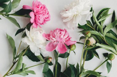 Güzel şakayıklar kırsal beyaz odunların üzerinde yatar. Şık bir çiçek tebrik kartı. Taze pembe ve beyaz şakayık çiçekleri ahşap arka planda, karamsar duvar kağıtları