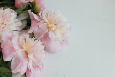 Beyaz ahşap üzerinde güzel şakayıklar. Stil çiçekli tebrik kartı, mesaj için yer var. Nazik pastel pembe şakayık çiçekleri beyaz masada düzenle, karamsar afiş