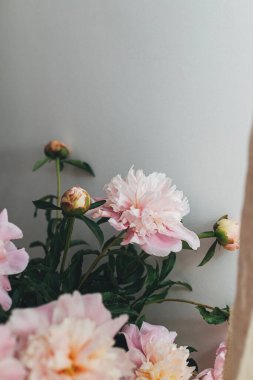 Modern boho odasında sepetteki güzel şakayıklar. Kırsal arka planda yumuşak pembe şakayık çiçekleri, karamsar bir görüntü. Modern bohem dekorasyon, şık iç dekorasyon.