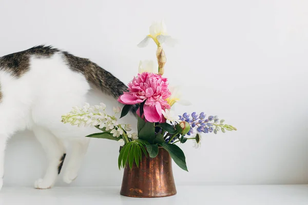 Cute cat walking at summer flowers bouquet in vintage vase on white  table. Home decor and pet. Curious kitty paws at stylish peony, lupin, iris and daisy arrangement on rustic table