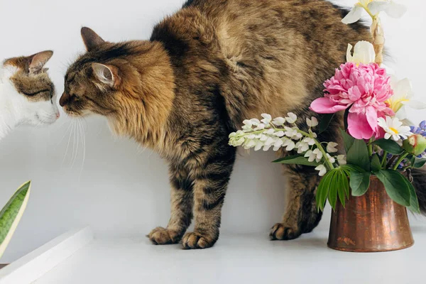 Słodkie Koty Wąchające Się Nawzajem Bukiet Kwiatów Letnich Zabytkowym Wazonie — Zdjęcie stockowe
