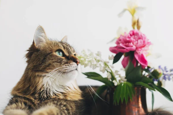 Mignon Chat Assis Bouquet Fleurs Été Sur Une Table Blanche — Photo