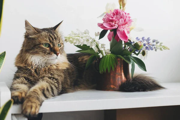 Söt Katt Sitter Sommaren Blommor Bukett Vintage Vas Vitt Bord — Stockfoto