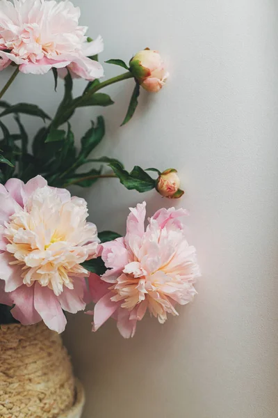 Schöne Pfingstrosen Strauß Korb Modernen Boho Zimmer Sanft Rosa Pfingstrosenblüten — Stockfoto