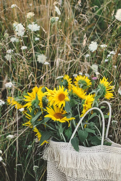 Bellissimi Girasoli Sacchetto Paglia Nel Prato Estivo Sera Tranquillo Momento — Foto Stock