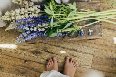 Top view of woman feet and beautiful lupine flowers in rustic room, arranging home decor in countryside. Woman and lupin bouquet and scissors on wooden rural chair, gathering wildflowers
