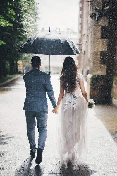 Капли Дождя Фоне Стильных Невесты Жениха Идущих Зонтиком Держащихся Руки — стоковое фото