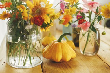 Autumn composition on rustic table. Colorful autumn flowers in vase, pumpkins and pattypan squashes on rustic wooden table. Harvest time in countryside. Hello Fall