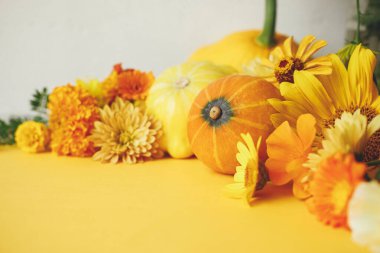 Happy Thanksgiving! Colorful autumn flowers, pumpkin, pattypan squash on yellow paper against rustic background. Creative autumn still life. Seasons greeting card template with space for text